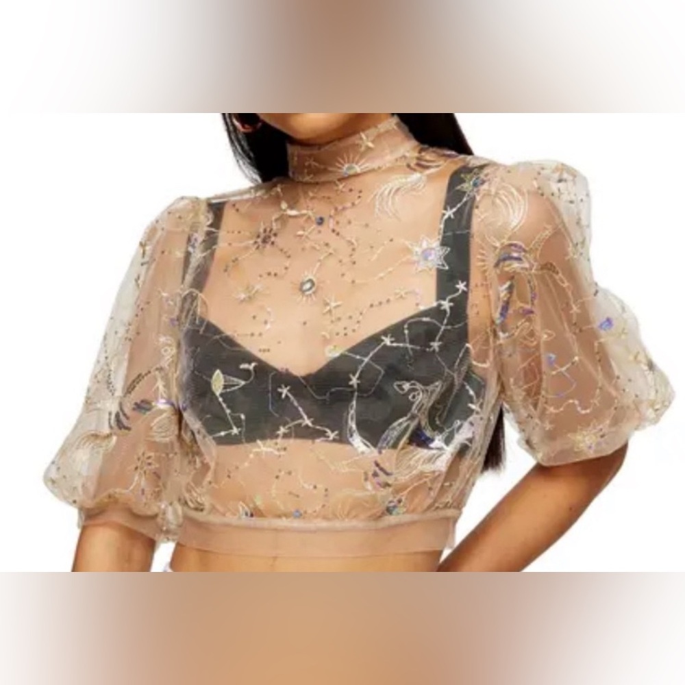 Topshop Embroidered Sequin Mesh Top